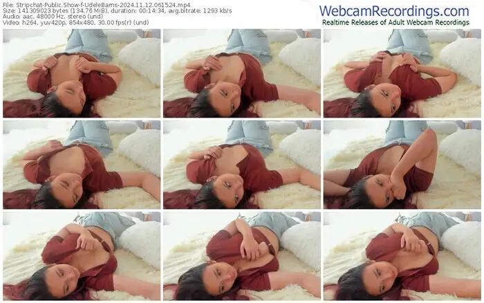 stripchat-udelebarns-11-12-2024-06-15-24