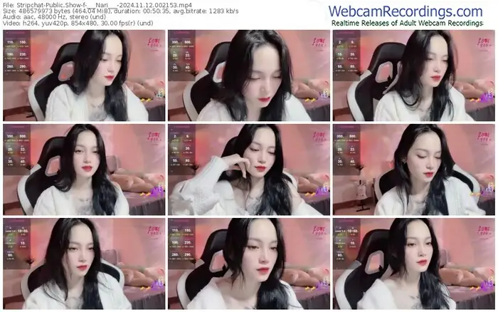 stripchat-___nari___-11-12-2024-00-21-53