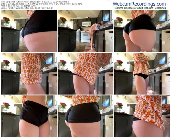 stripchat-onlysage444-11-12-2024-14-08-30