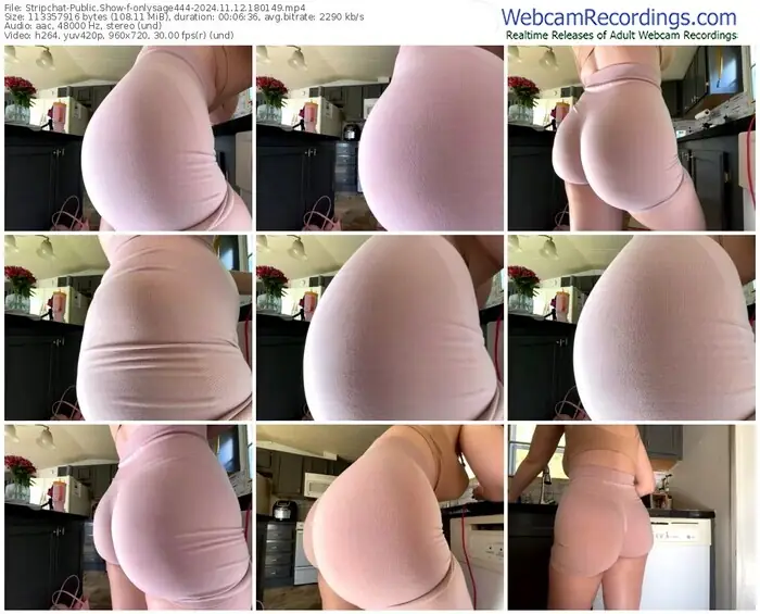 stripchat-onlysage444-11-12-2024-18-01-49