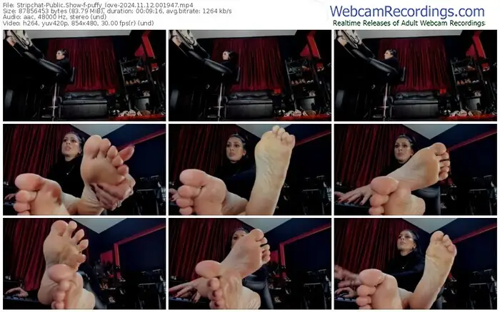 stripchat-puffy_love-11-12-2024-00-19-47