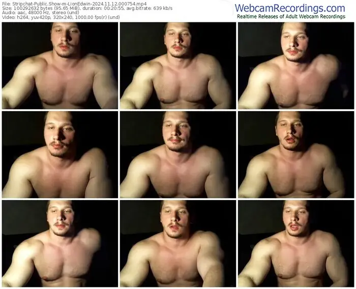 stripchat-lionedwin-11-12-2024-00-07-54