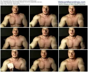 stripchat-lionedwin-11-12-2024-00-38-03