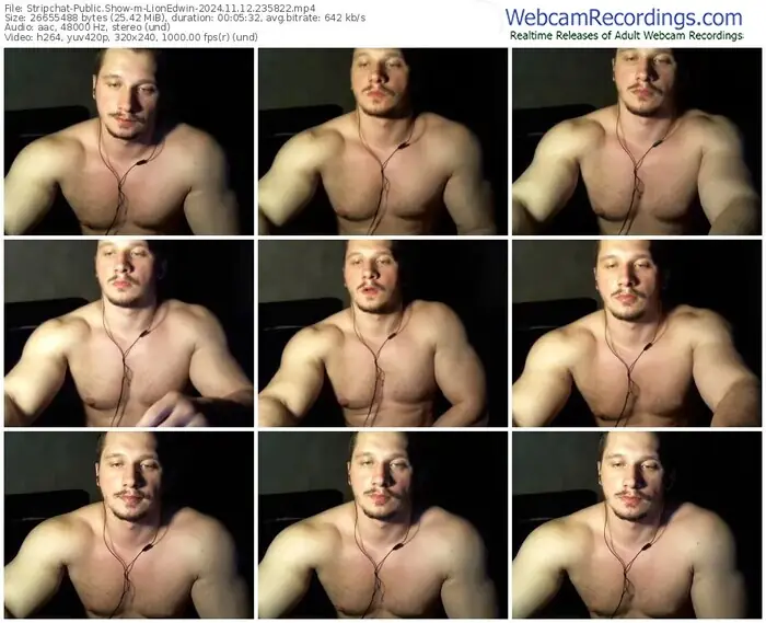 stripchat-lionedwin-11-12-2024-23-58-22