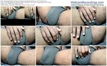 stripchat-masculine_breed-11-12-2024-17-19-52