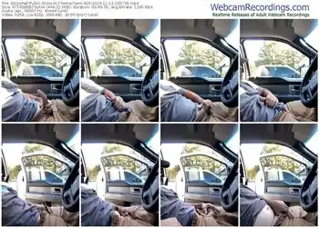 stripchat-themechanic420-11-12-2024-16-57-26