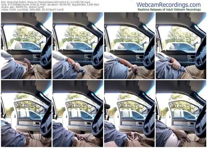 stripchat-themechanic420-11-12-2024-16-57-26