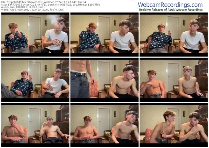 stripchat-vixi_wichsen-11-12-2024-19-43-18