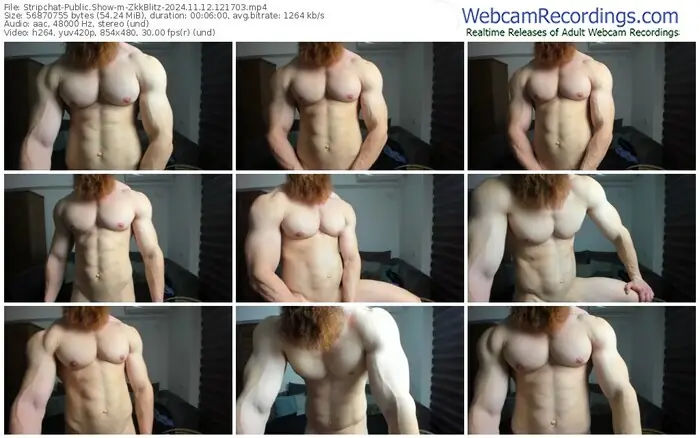 stripchat-zkkblitz-11-12-2024-12-17-03