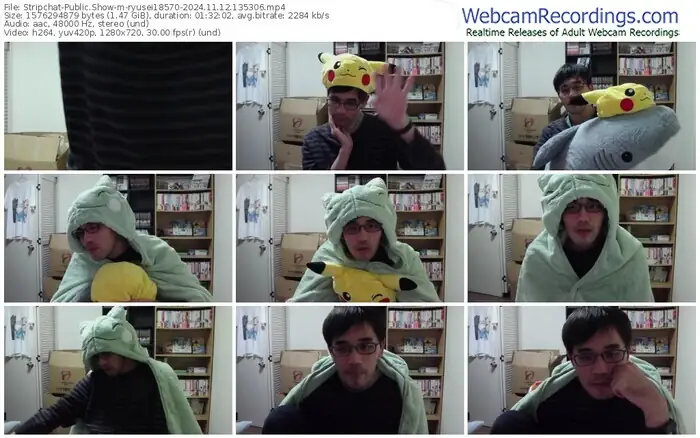 stripchat-ryusei18570-11-12-2024-13-53-06