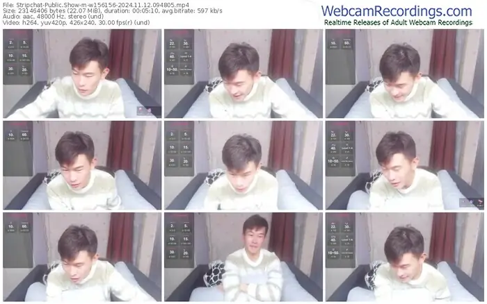 stripchat-w156156-11-12-2024-09-48-05