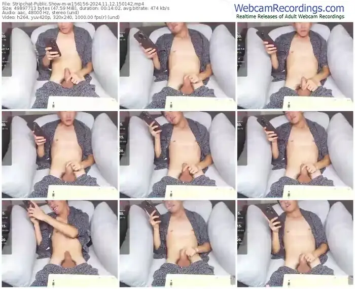 stripchat-w156156-11-12-2024-15-01-42