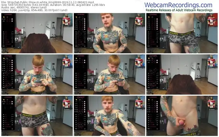stripchat-white_king9999-11-12-2024-08-04-22
