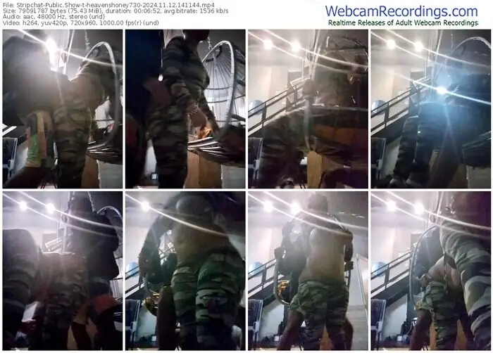 stripchat-heavenshoney730-11-12-2024-14-11-44
