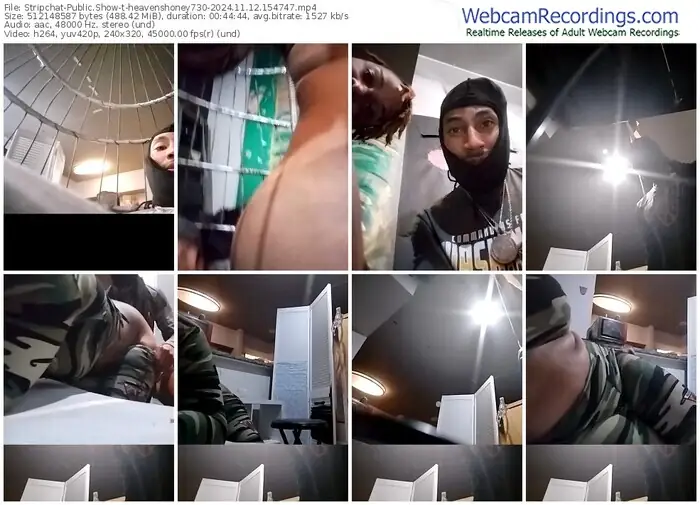 stripchat-heavenshoney730-11-12-2024-15-47-47