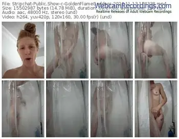 stripchat-goldenflamegoddess-11-13-2024-17-43-38