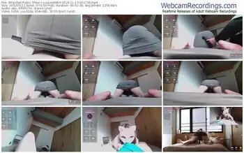 stripchat-luulee0804-11-13-2024-00-17-36