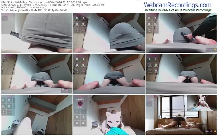 stripchat-luulee0804-11-13-2024-00-17-36