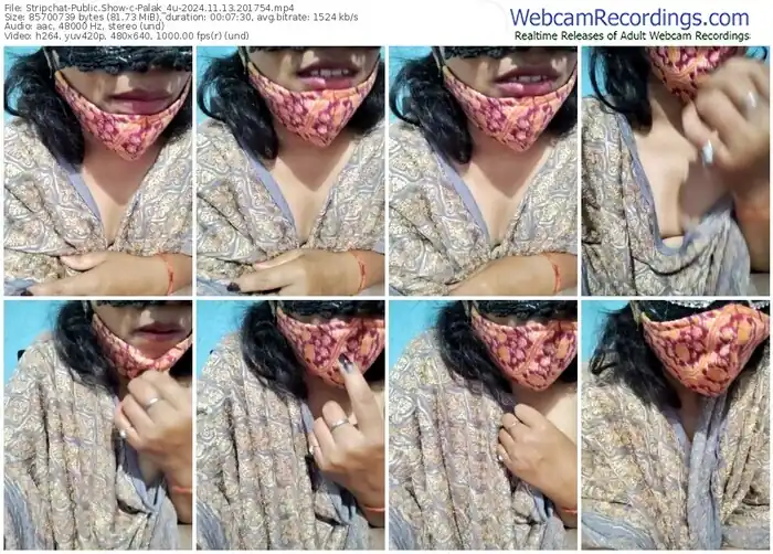 stripchat-palak_4u-11-13-2024-20-17-54