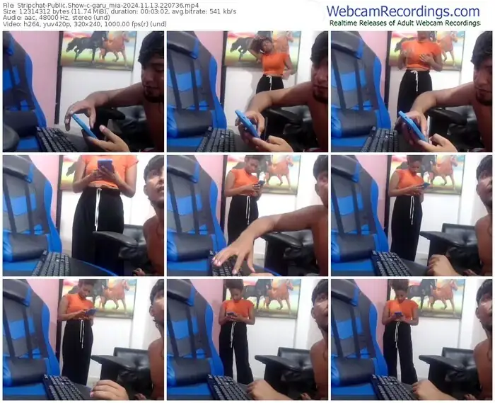 stripchat-garu_mia-11-13-2024-22-07-36