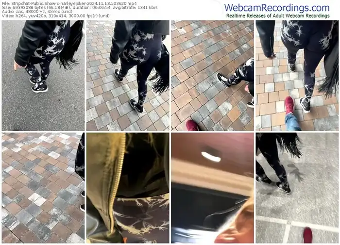 stripchat-harleyejoker-11-13-2024-10-36-20
