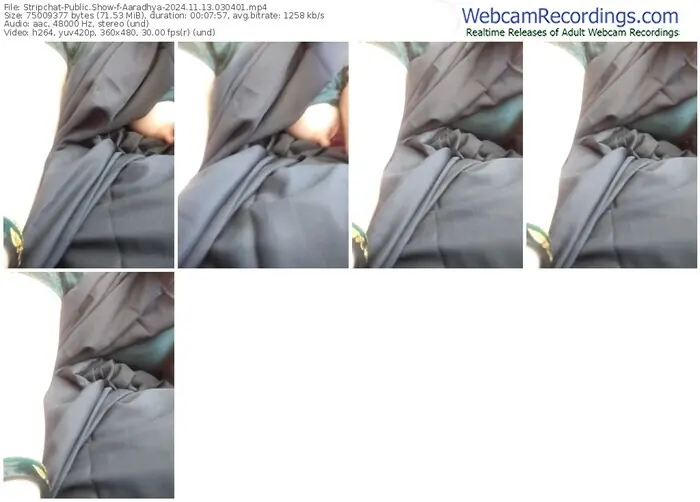 stripchat-aaradhya-11-13-2024-03-04-01