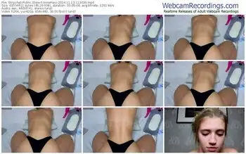 stripchat-annefoxy-11-13-2024-11-30-39