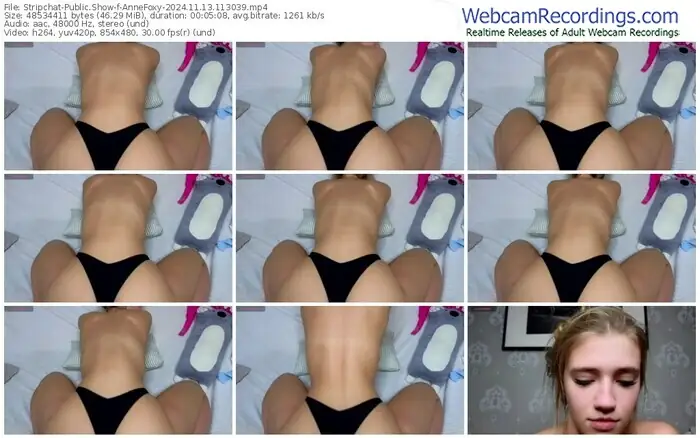 stripchat-annefoxy-11-13-2024-11-30-39
