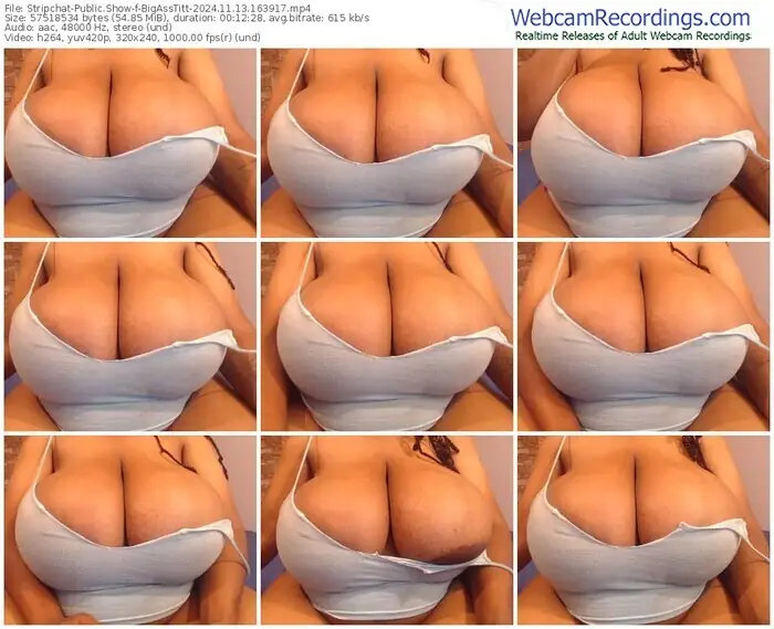 stripchat-bigasstitt-11-13-2024-16-39-17