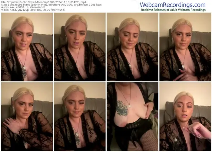stripchat-blondiee3088-11-13-2024-00-42-31