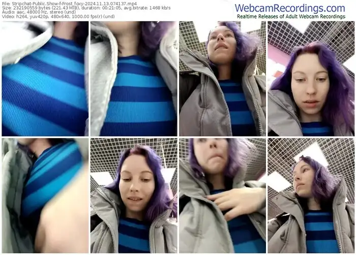 stripchat-frost_foxy-11-13-2024-07-41-37