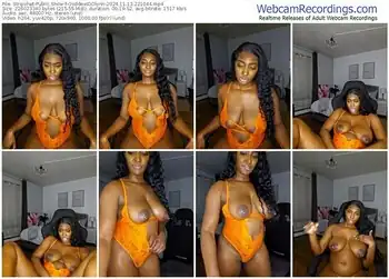 stripchat-goddessddlynn-11-13-2024-22-10-44