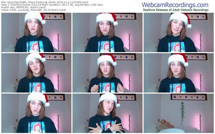 stripchat-kittycat_blush-11-13-2024-10-43-05