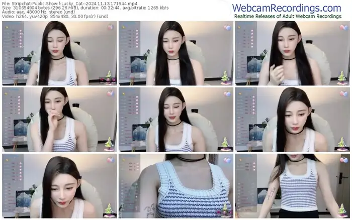 stripchat-lucky_cat--11-13-2024-17-19-44