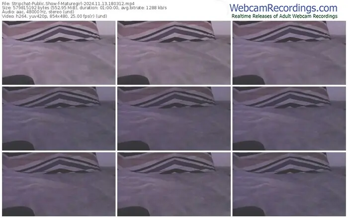 stripchat-maturegirl-11-13-2024-18-03-12