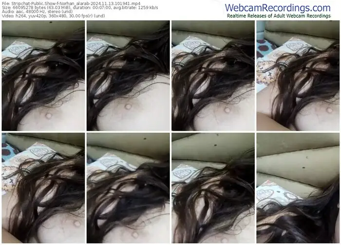 stripchat-norhan_alarab-11-13-2024-10-19-41