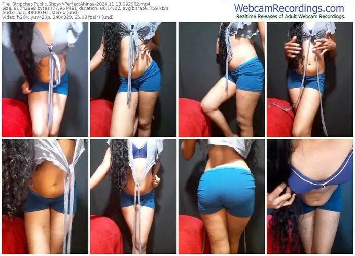 stripchat-perfectahinsa-11-13-2024-09-29-02