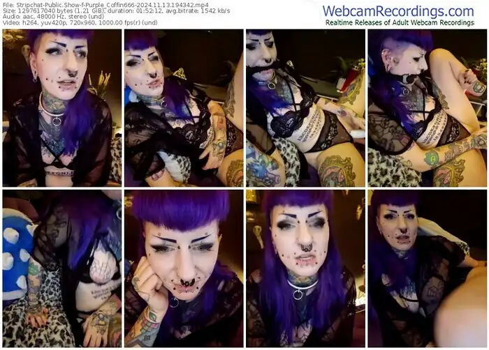 stripchat-purple_coffin666-11-13-2024-19-43-42