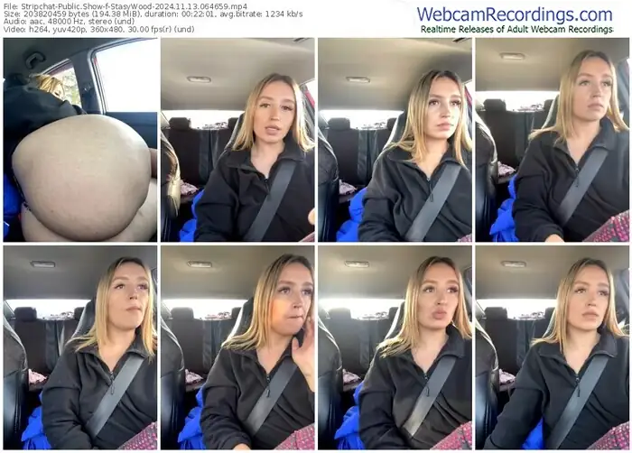 stripchat-stasywood-11-13-2024-06-46-59