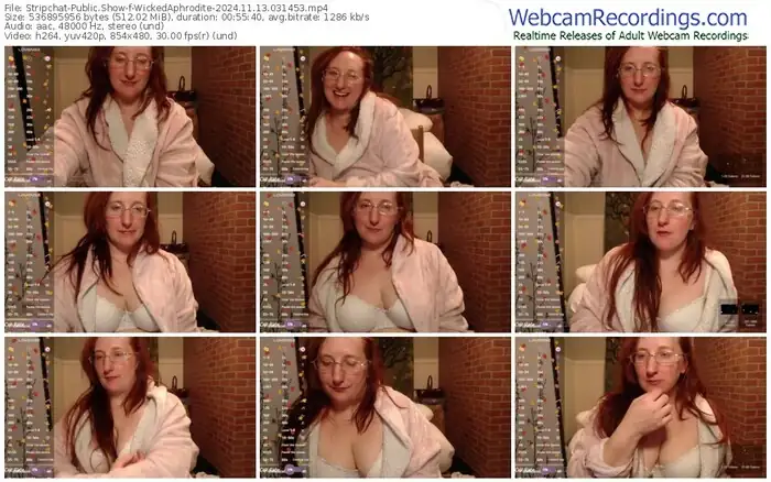 stripchat-wickedaphrodite-11-13-2024-03-14-53