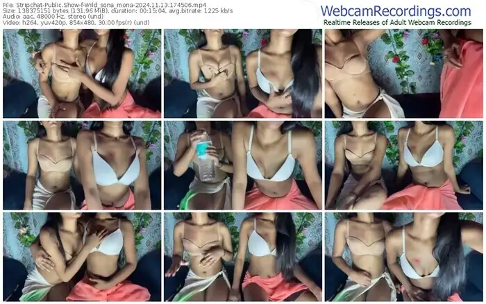 stripchat-wild_sona_mona-11-13-2024-17-45-06