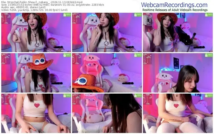 stripchat-_nobara__-11-13-2024-08-34-42