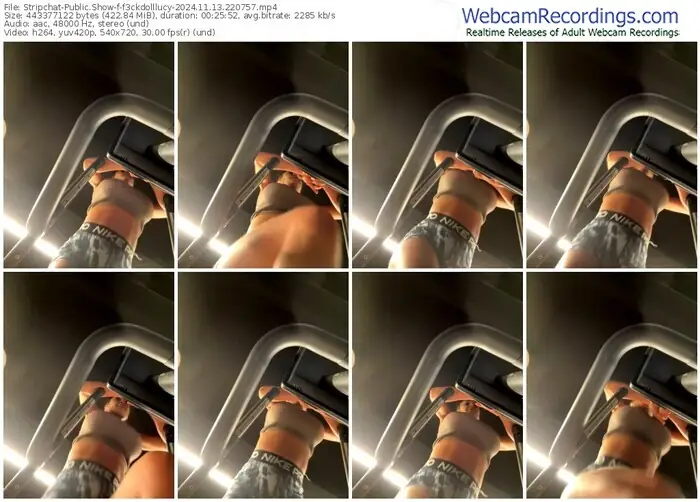 stripchat-f3ckdolllucy-11-13-2024-22-07-57