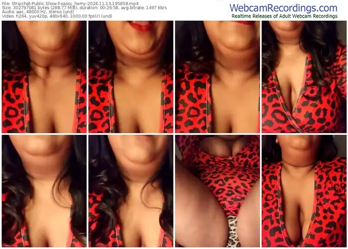 stripchat-sassy_horny-11-13-2024-19-58-58