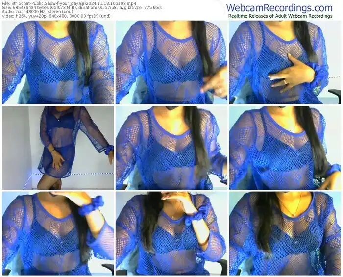 stripchat-your_payalji-11-13-2024-10-31-03