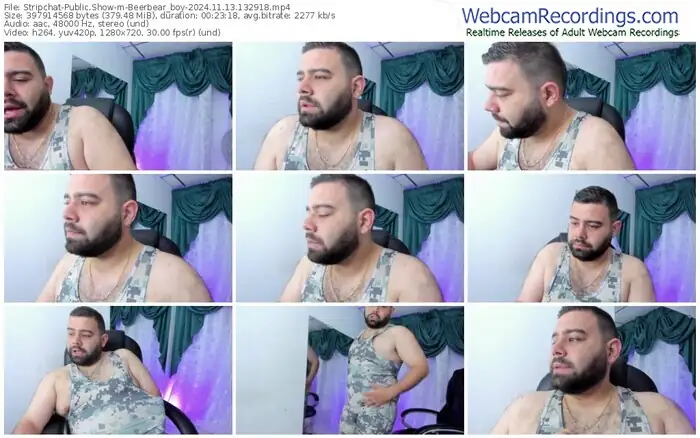 stripchat-beerbear_boy-11-13-2024-13-29-18