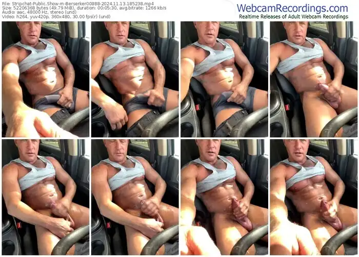 stripchat-berserker00888-11-13-2024-18-52-38