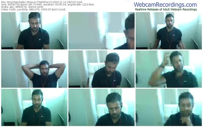 stripchat-themrfox13-11-13-2024-18-21-07