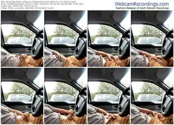 stripchat-themechanic420-11-13-2024-15-40-23