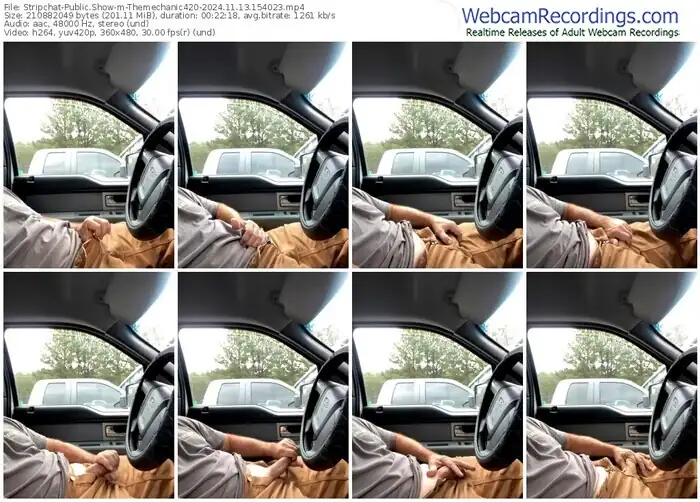 stripchat-themechanic420-11-13-2024-15-40-23